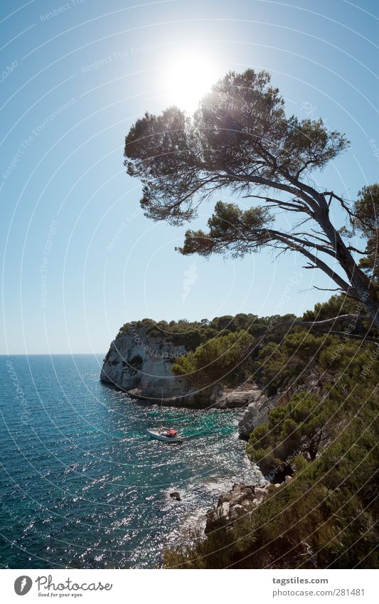 MENORCA Menorca Cala Galdana galdana Vacation & Travel Travel photography Bay Watercraft Sailboat Sailing Relaxation Sun Back-light Mediterranean sea Tree Coast