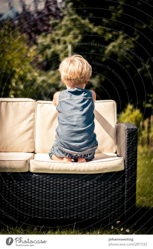 and wait. Joy Summer Sun Garden Swimming pool Toddler Water Warmth Meadow Blue white Boy (child) Hammock Outdoor furniture youthful cute Rear view Back Kneel