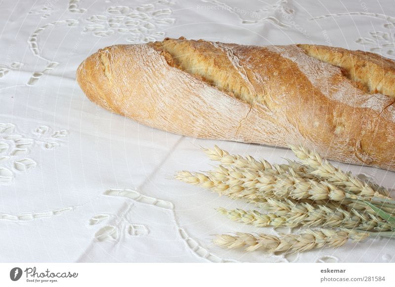 baguette Food Grain Dough Baked goods Bread Baguette White bread rustic pane Breakfast Dinner Tablecloth French loaf Embroidery embroidered Rustic Wheat