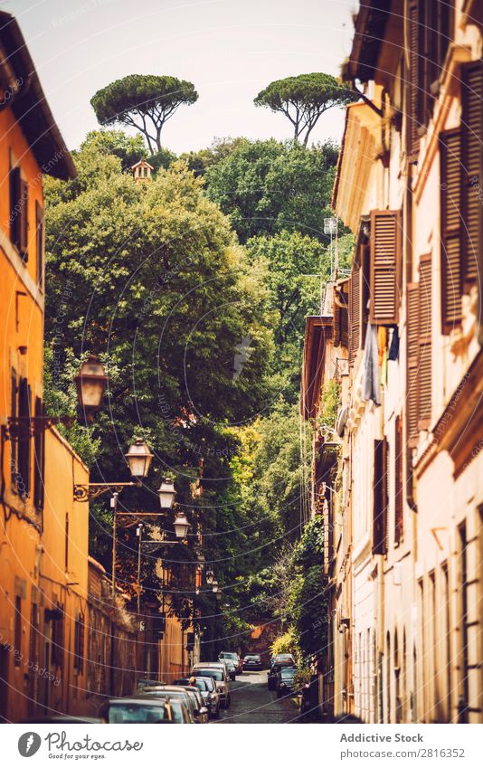 Beautiful street view of Rome, Italy Exterior shot Italian Street Destination Town Colour national Vacation & Travel Vantage point Landmark Culture scenery