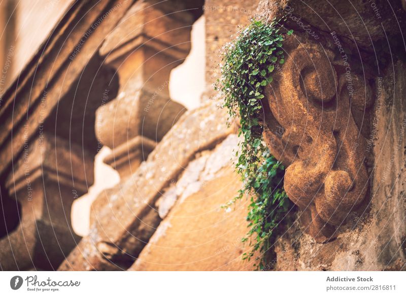 Detail view in Piazza Armerina, Sicily, Italy Places armerina Vacation & Travel Vantage point Old Church Architecture Mediterranean Island Town Building City