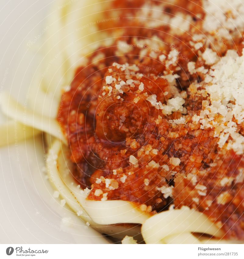 Bolognese Food Meat Sausage Nutrition Eating Lunch Dinner Buffet Brunch Delicious Spaghetti Noodles Italian Italian Food Italians Parmesan Cheese Minced meat