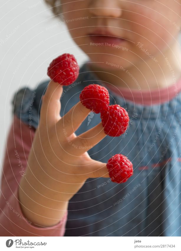 1,2,3,4 Food Fruit Candy Eating Organic produce Finger food Healthy Eating Contentment Summer Child Girl Infancy Hand 3 - 8 years To enjoy Brash Fresh Delicious