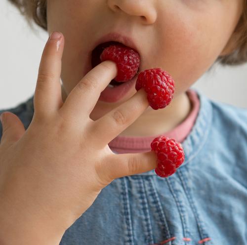 Child nibbles raspberries from his own fingers Food Fruit Candy Eating Finger food Healthy Healthy Eating Contentment Vacation & Travel Summer Infancy Hand