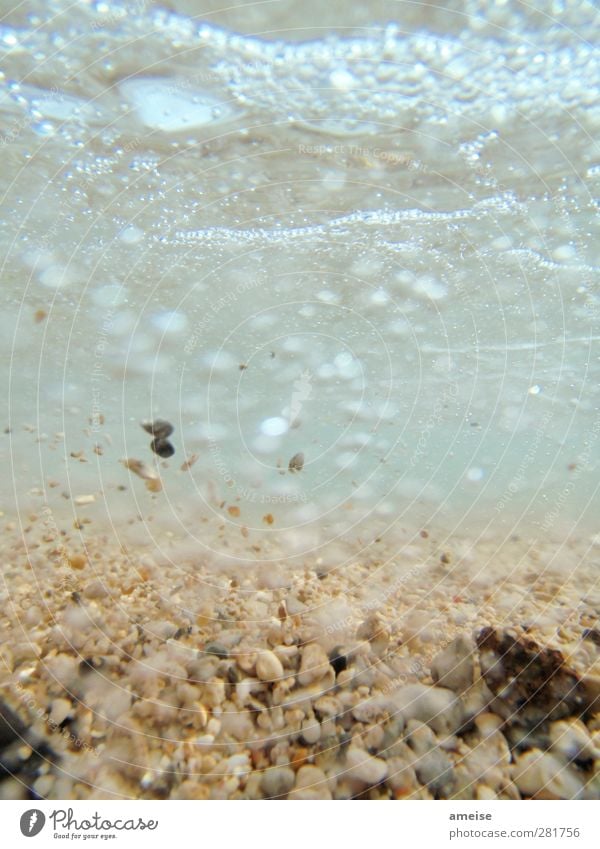 A day at the beach Beach Ocean Sand Water Summer Gale Swimming & Bathing Hawaii Maui Movement Close-up Underwater photo