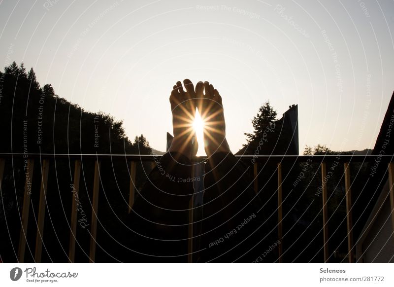 foot high day Flat (apartment) Human being Feet 1 Environment Nature Sky Cloudless sky Horizon Beautiful weather Plant Tree Relaxation Glittering To enjoy