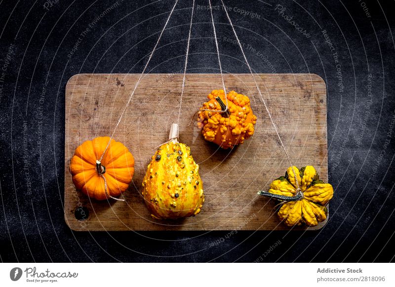 Pumpkins on dark table Food Background picture Diet Fresh Green Healthy Natural Organic Raw Agriculture Mature Table Bird's-eye view Vegetable Vegetarian diet