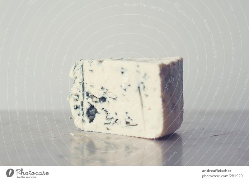 Mildew cheese. Disgusting. Food Cheese Nutrition Milk Esthetic Metalware mould cheese Gray Green blue mould Dairy Products lactose Protein White Reflection