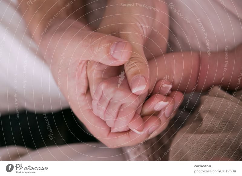 parents hands holding newborn infants hand Baby Parents Adults Mother Father Infancy Hand 3 Human being 0 - 12 months 18 - 30 years Youth (Young adults) Touch