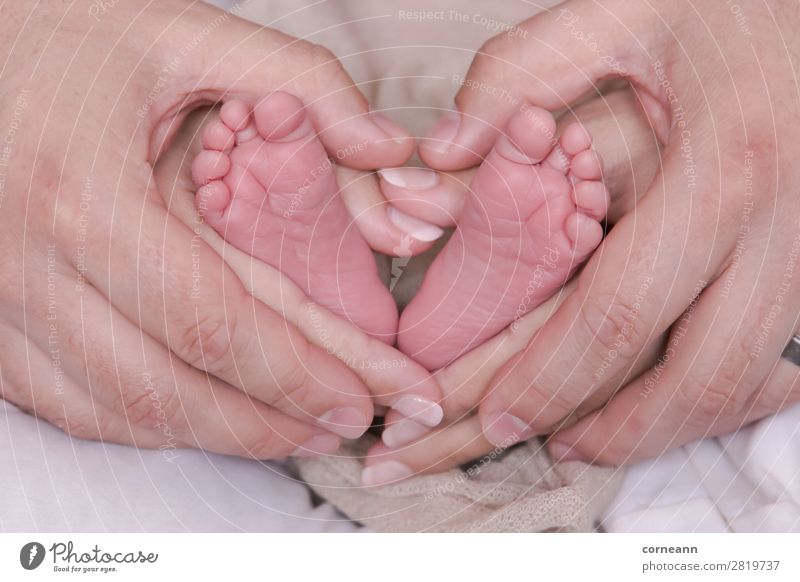 mother and father holding newborns feet in a heart shape Health care Parenting Human being Baby Parents Adults Mother Father Infancy Hand Feet 0 - 12 months