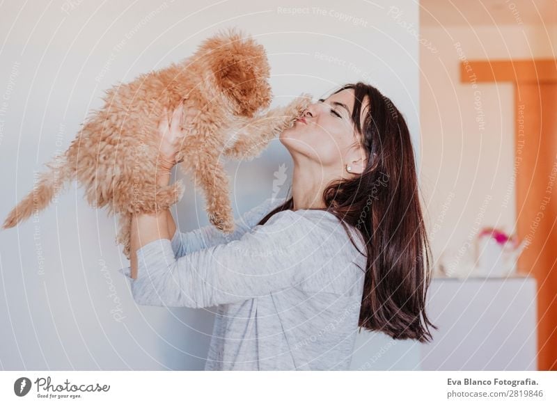 Cute toy poodle with his young owner at home Lifestyle Joy Happy Beautiful Face Leisure and hobbies Freedom House (Residential Structure) Human being