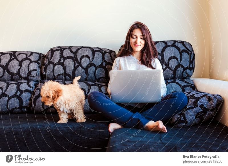 young woman with her toy poodle dog at home Lifestyle Joy Happy Beautiful House (Residential Structure) Sofa Cellphone PDA Computer Notebook Screen Technology