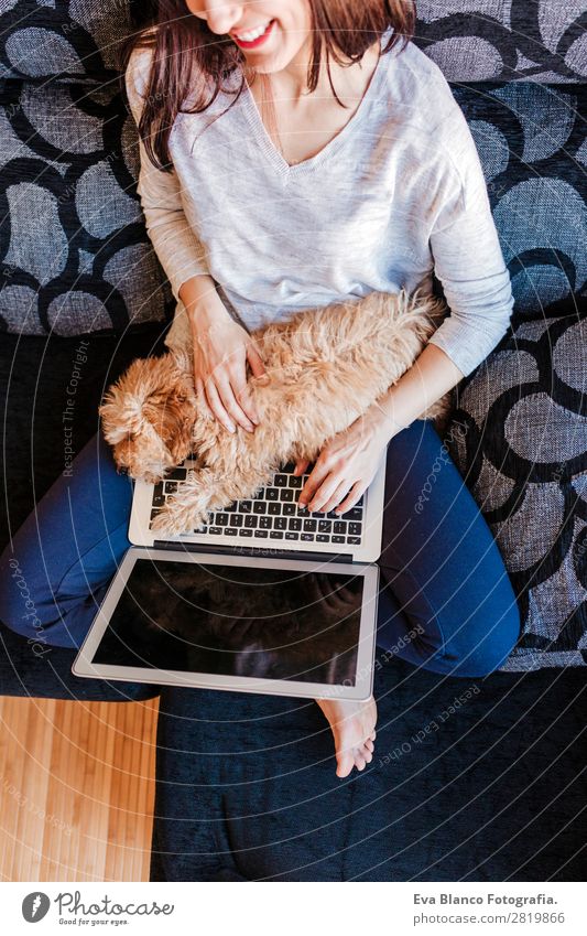 young woman with her toy poodle dog at home Lifestyle Joy Happy Beautiful House (Residential Structure) Sofa Cellphone PDA Computer Notebook Keyboard Screen