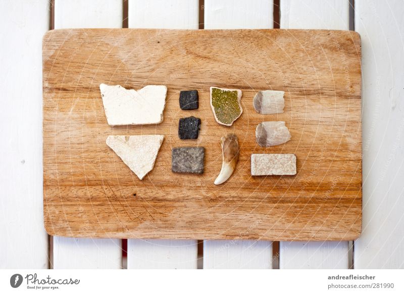 Collection in order. Environment Nature Esthetic Wood Wooden board Stool Tabletop Stone Shard Set of teeth Tile Sharp-edged Rectangle Scales Dried Arrangement