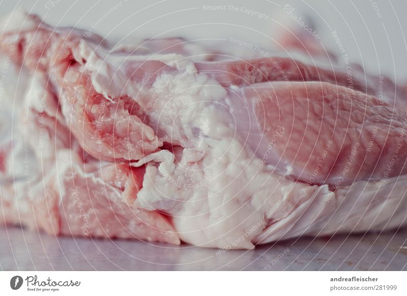 carnal lust. Food Meat Nutrition Esthetic Poultry Naked Delicate Cold Detail Cooking recipe Hide Pink White Metal Table Fat Colour photo Close-up Blur