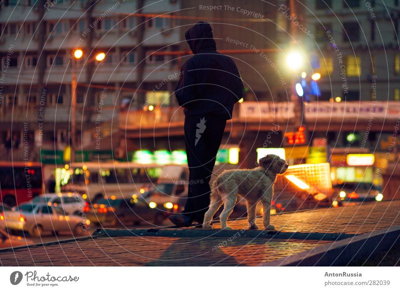Dog Human being Masculine Man Adults 1 13 - 18 years Child Youth (Young adults) 18 - 30 years Town Animal Looking Stand Evening Colour photo Exterior shot