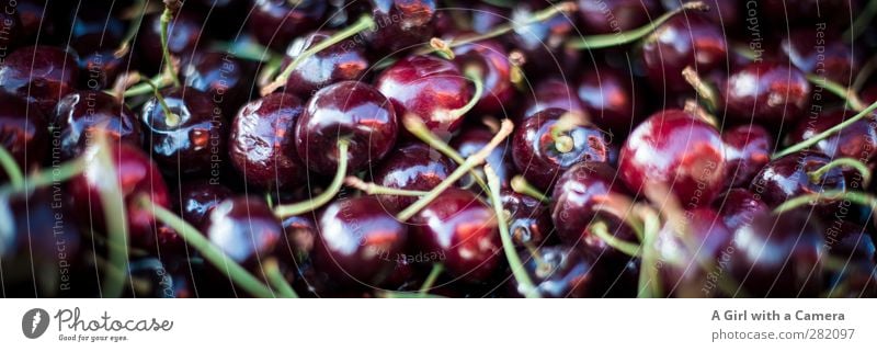 Cherries Food Fruit Cherry Nutrition Organic produce Vegetarian diet Diet Fresh Healthy Round Small Juicy Markets Offer Beautiful Colour photo Multicoloured