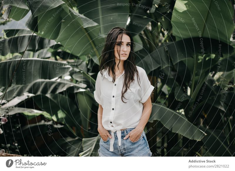 Young woman looking at camera at leaves Woman Leaf Posture Looking into the camera hands in pockets Girl Youth (Young adults) Fashion Beautiful Nature