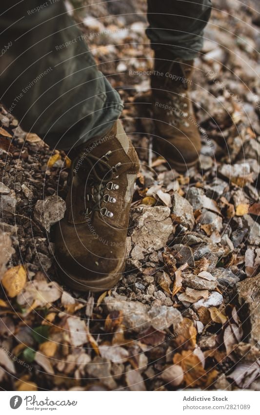 Legs of hiker in forest Leaf Pebble Footwear Human being Forest Hiking Nature Autumn Vantage point Vacation & Travel Adventure Walking Environment Lifestyle
