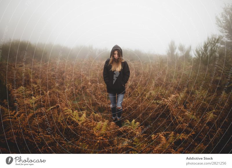 Woman amidst ferns Fern Fog Forest Nature Day Human being Portrait photograph Wood Autumn Walking Wild Plant Dry Spooky Fear scenery Seasons Calm tranquil