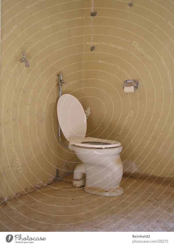 old building Still Life Paper Coil Photographic technology Toilet Old Gotta go