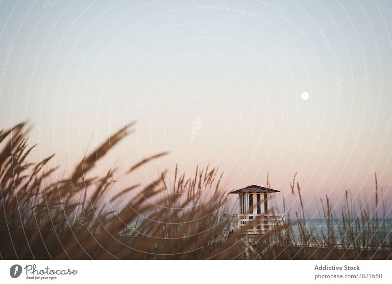 Idyllic view of lifeguard against sky with full moon Lifeguard Tower Grass focus Foreground windless Moon Sky Horizon Water Beach Construction Summer Deserted