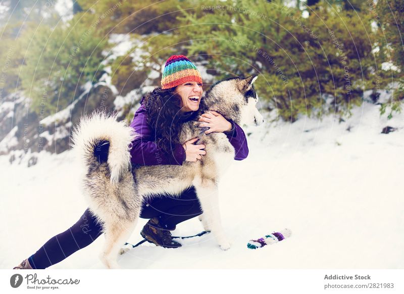 Laughing woman playing with dog in snows Woman Dog Boxing Snow having fun Together Pet Mammal White Nature Cheerful Joy Contentment Laughter struggle Bite Husky