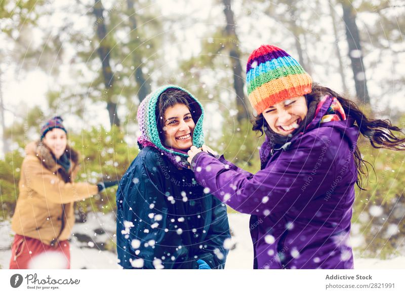 Friends playing snowballs in woods Human being Friendship Snow ball Playing Forest throwing having fun Entertainment Leisure and hobbies Action Movement Winter