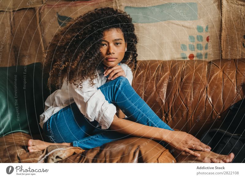 Stylish ethnic woman on couch Woman pretty Beautiful Ethnic Black Curly Youth (Young adults) Leather Couch Sofa Brown Sit Looking into the camera Brunette