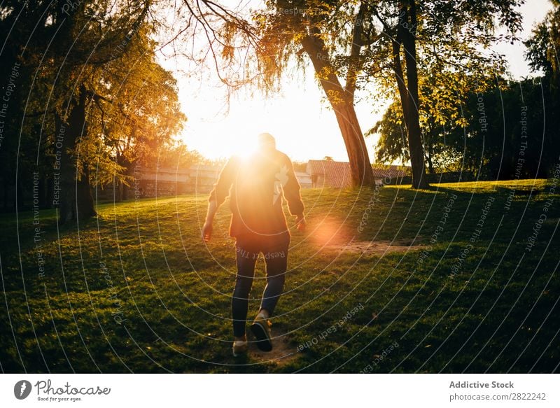 Young man in sunny park Man Youth (Young adults) Lawn Park Grass Summer Happy Lifestyle Green Nature Leisure and hobbies Cheerful Tree Sunbeam Smiling Joy