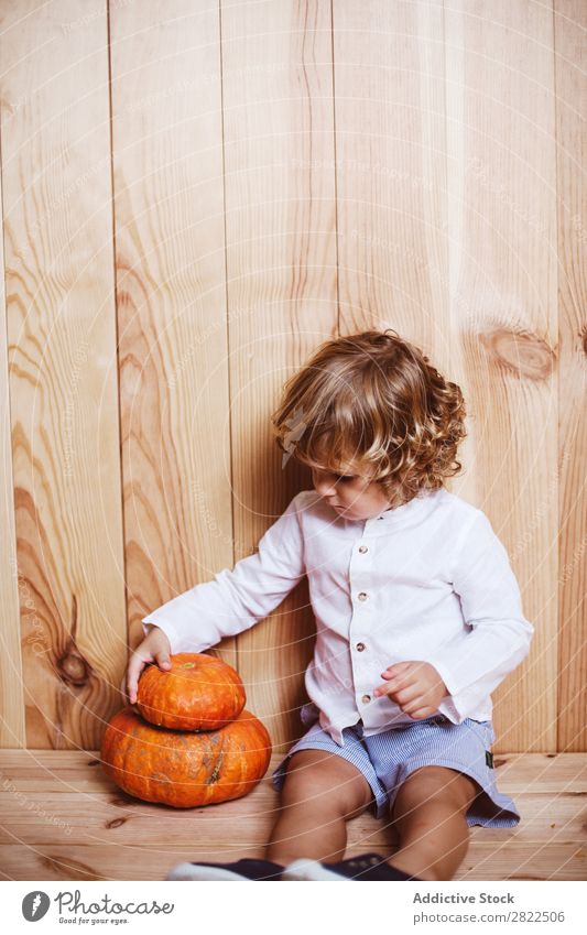 Charming kid posing with pumpkins Child Pumpkin Intellect Fantasy Posture Considerate Vacation & Travel Hallowe'en Autumn human face Infancy Magic Delightful