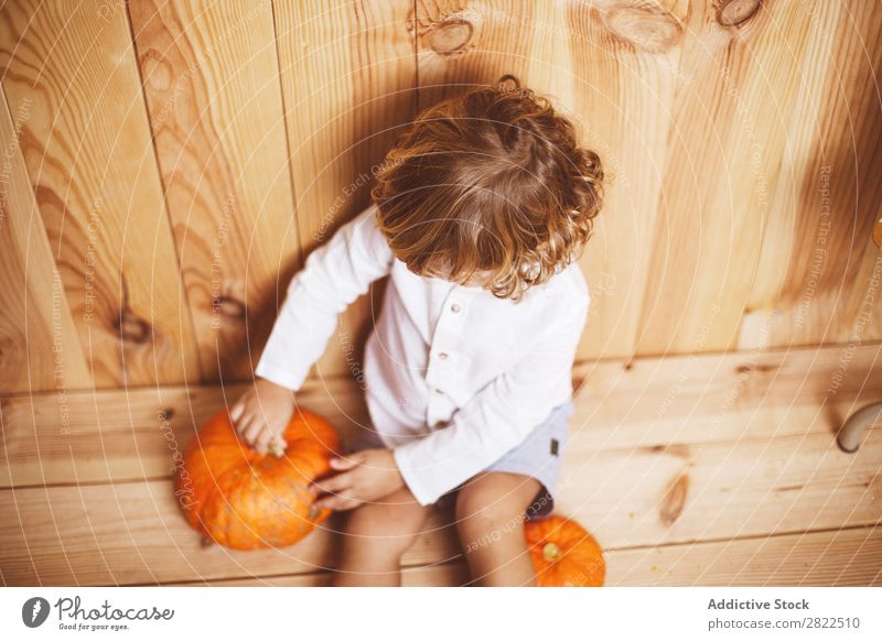 Charming kid posing with pumpkins Child Pumpkin Intellect Fantasy Posture Considerate Vacation & Travel Hallowe'en Autumn human face Infancy Magic Delightful