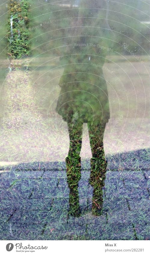 Boots in the morning Human being Feminine 1 Cold Dew Condensation Skirt Legs Street Window Reflection Pane Colour photo Exterior shot Full-length