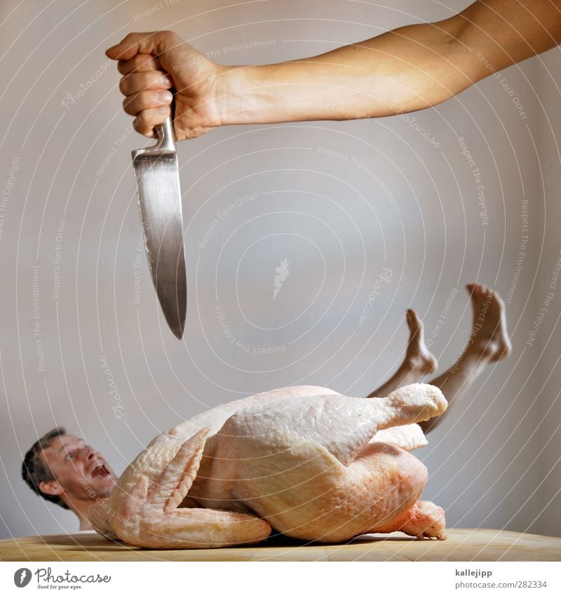 to be a soup chicken Food Meat Human being Masculine Body Skin 1 Animal Farm animal Dead animal Bird Looking Knives Blade tart Kill Death Murder