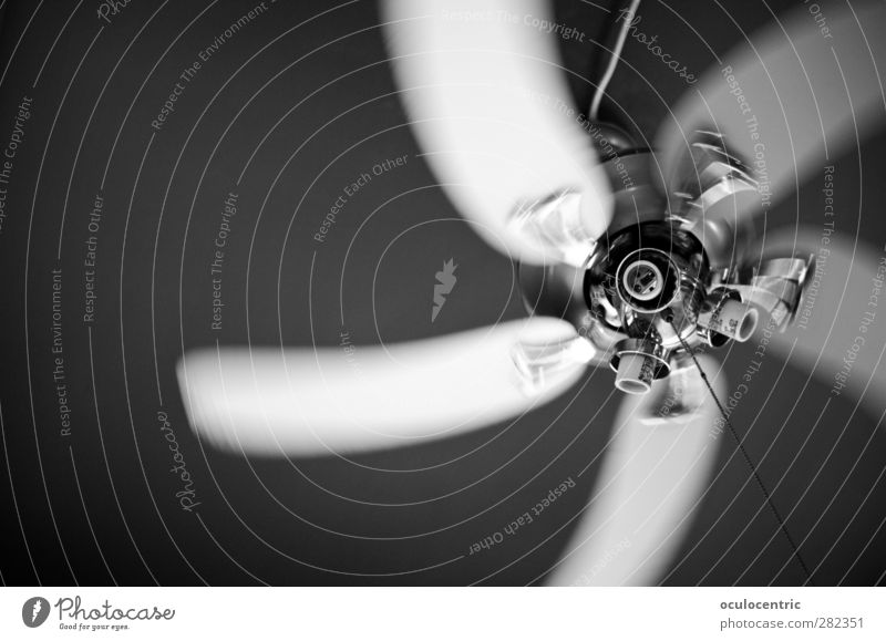 whirlwind Fan Rotate Glittering Athletic Speed Dynamics Blow Wind Chrome Ceiling Black & white photo Interior shot Experimental Deserted Copy Space left
