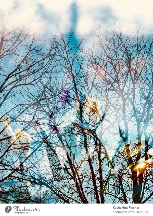 tree branches flowers double exposure Art Work of art Painting and drawing (object) Nature Spring Autumn Winter Plant Tree Flower Leaf Blossom Blossoming Blue