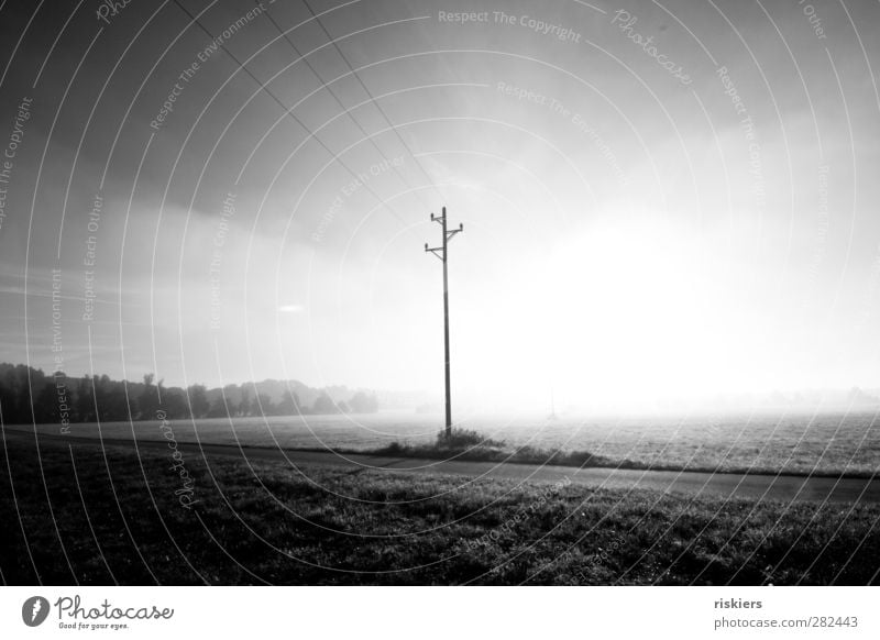 disappear in the nothingness Environment Nature Landscape Sun Autumn Fog Meadow Field Bright Emotions Moody Electricity pylon High voltage power line