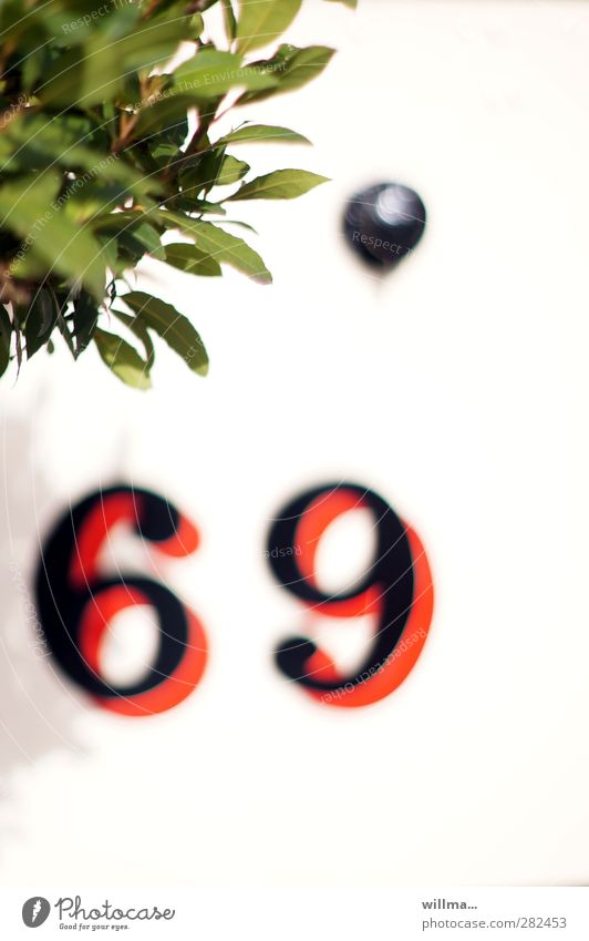 69 Bushes Leaf Sign Digits and numbers Sex Red Sexuality Esotericism Paragraph § 69 StGB Sexual practices 96