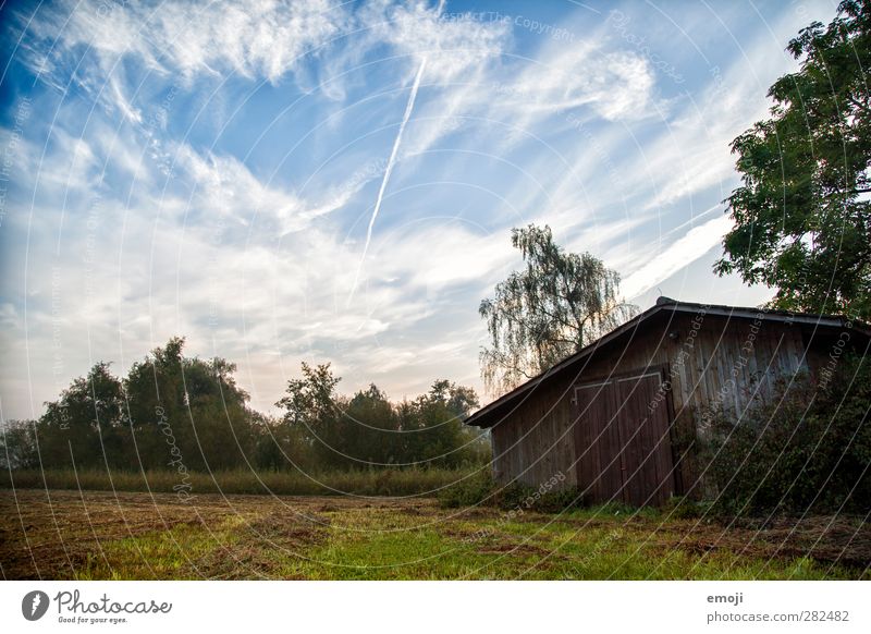 on the lakeshore Environment Nature Sky Clouds Autumn Meadow Field Natural Blue Green Hut Colour photo Exterior shot Deserted Morning Dawn Day Shadow