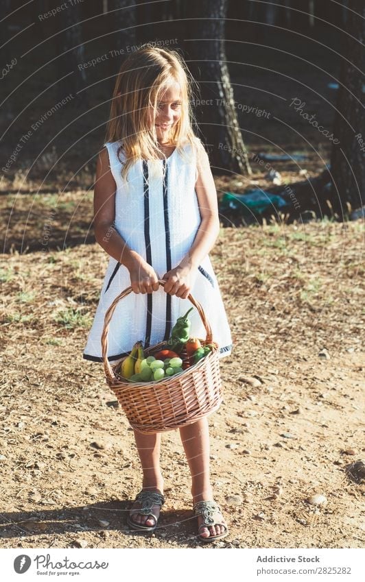 Anonymous child with basket of fruit Girl Basket Fruit Vegetable Summer Agriculture Landscape Nature Harvest vitamins Fresh Food Organic Beauty Photography