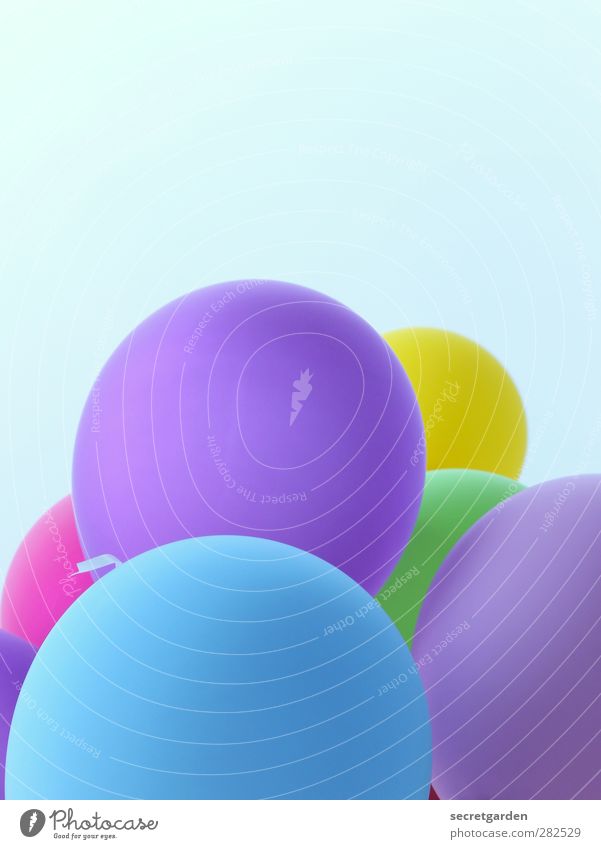 Happy birthday! Cloudless sky Summer Balloon Round Blue Violet Joy Party mood Multicoloured Exterior shot Copy Space top