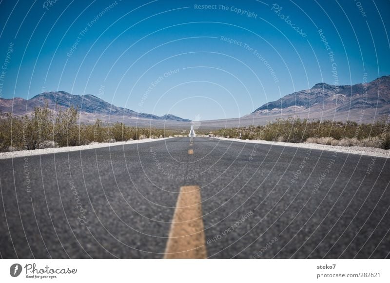 Going Nowhere Bushes Mountain Desert Street Far-off places Infinity Blue Yellow Loneliness Horizon Symmetry Right ahead Direct Asphalt Highway USA Colour photo
