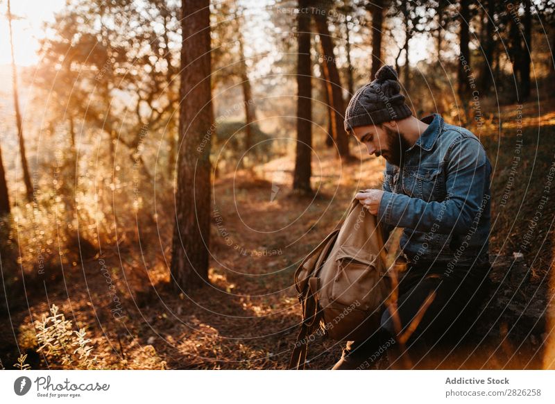 Man in forest looking into backpack Looking Backpack Tourist Forest Portrait photograph Autumn Tourism Vacation & Travel Adventure Youth (Young adults) Trip