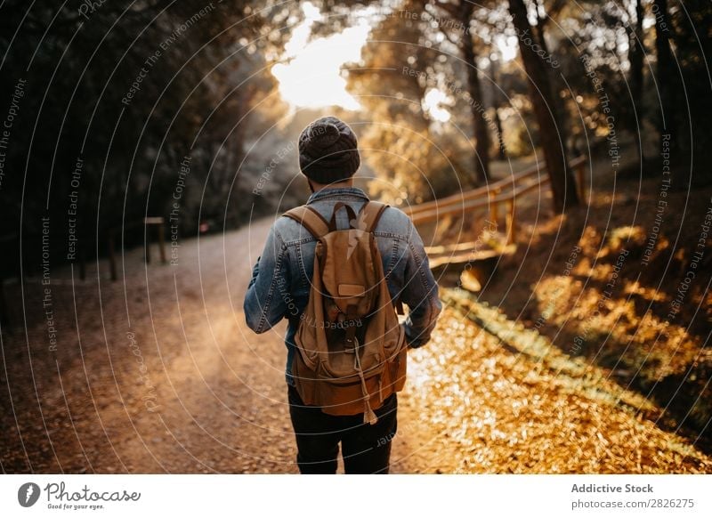 A tourist on rural road Man Tourist Street Forest Backpack Autumn Tourism Vacation & Travel Adventure Youth (Young adults) Trip backpacker traveler Rural Nature