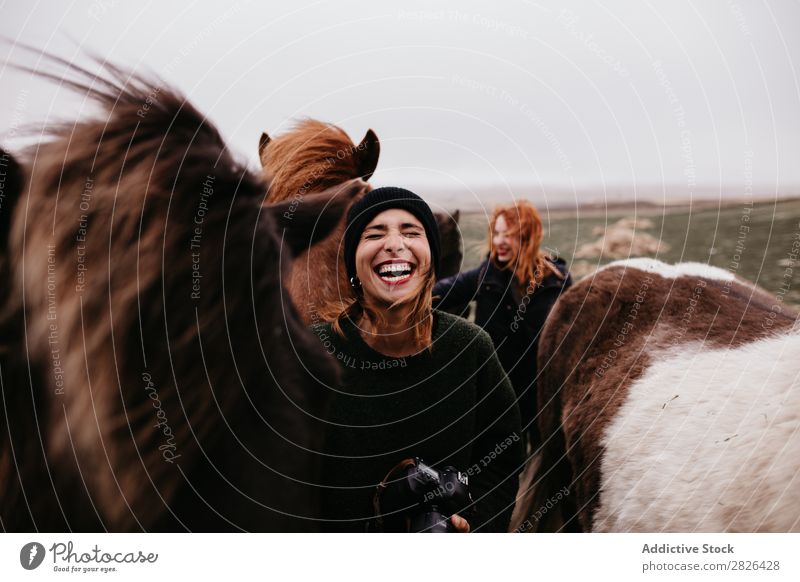 Laughing women with horses Woman Tourism Horse Photographer Iceland Nature Happiness Landscape Rustic Farm Green Leisure and hobbies Rural equine Touch national