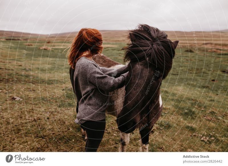 Woman stroking horse on pasture Stroke Horse Iceland Pasture breeding Large-scale holdings Animal Agriculture Caress Landscape Emotions Affection Touch Love