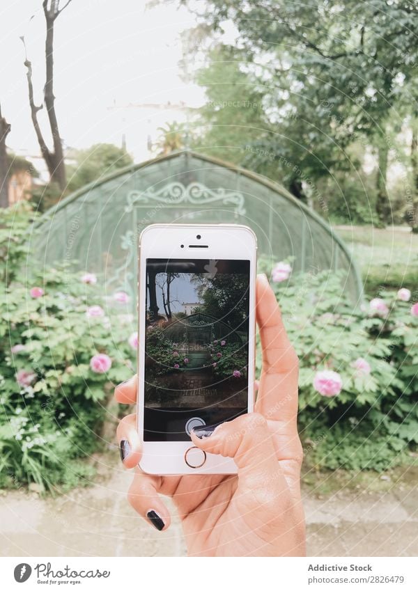 Mobile photo of greenhouse. Hand taking photo Greenhouse Solar cell Cellphone Gadget device Electronics Technology take picture Photography Photographer