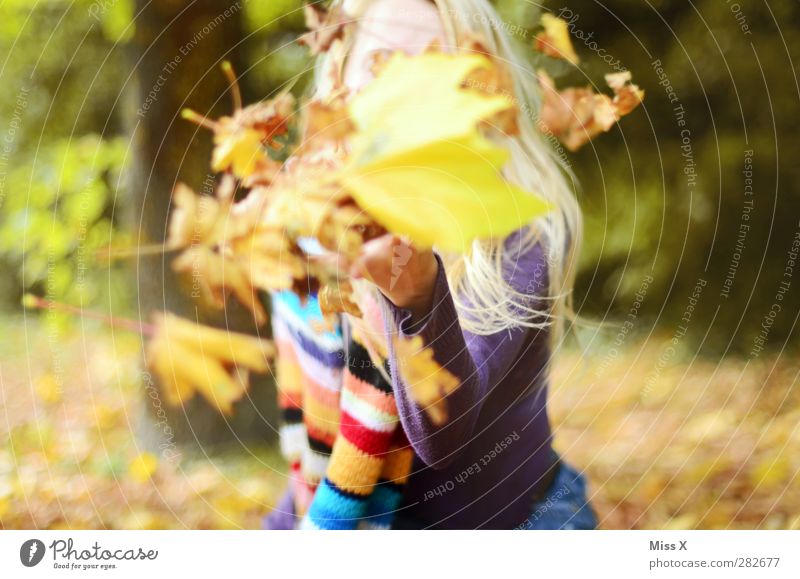 autumn storm Human being Feminine 1 18 - 30 years Youth (Young adults) Adults Autumn Beautiful weather Leaf Park Forest Scarf Blonde Long-haired Happiness