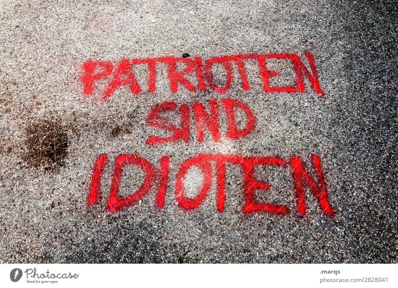 Patriots are idiots. Dye Stone Characters Graffiti Trashy Politics and state Patriotism Doofus Colour photo Exterior shot Deserted Day Bird's-eye view