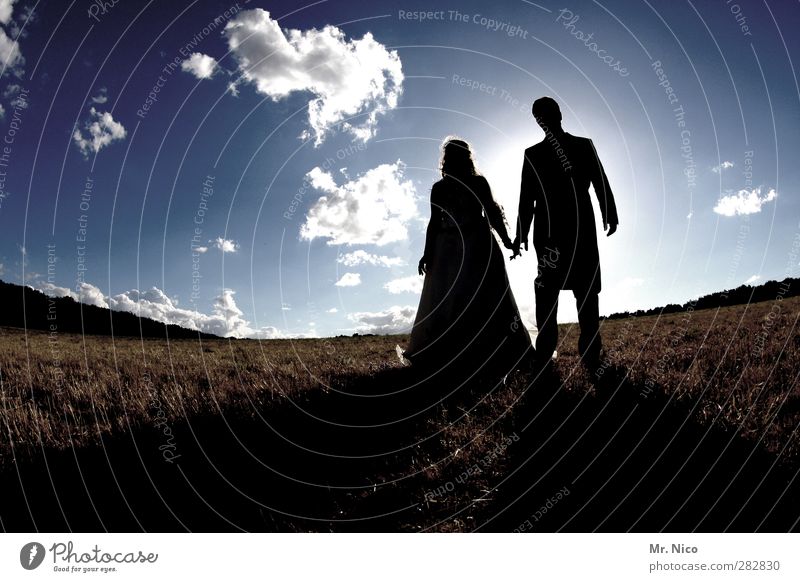 together Wedding Masculine Feminine Couple 2 Human being Environment Nature Landscape Sky Clouds Beautiful weather Meadow Field Dress Suit Together Love